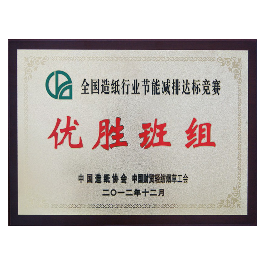 全國造紙行業(yè)節(jié)能減排達(dá)標(biāo)競賽優(yōu)勝班組